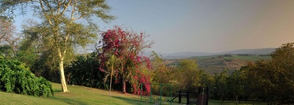 Hazyview Sun