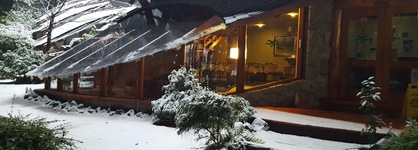 Casa Del Bosque Apart, Suites & Spa