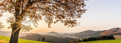 Sauerland Alpin Hotel