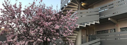 Campanile Nature - Cergy Pontoise