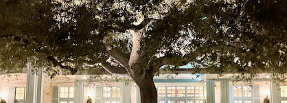 Hyatt Regency Hill Country Resort And Spa