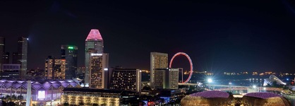 Wyndham Singapore Hotel