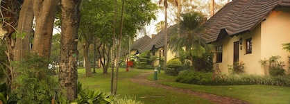 Sabi River Sun