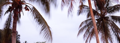 Holiday Inn Resort Vanuatu By Ihg