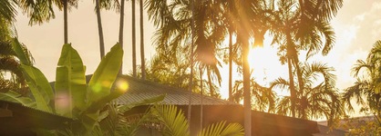 Palms City Resort