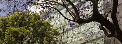 Habita, Mexico City, A Member Of Design Hotels