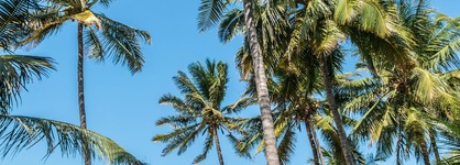 Serena Beach Resort & Spa