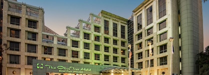 Olive Tree Hotel