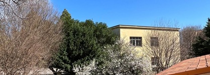 Hotel D'orleans