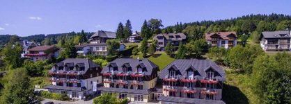 Nature Titisee