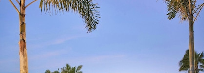 Marriott Puerto Vallarta Resort & Spa