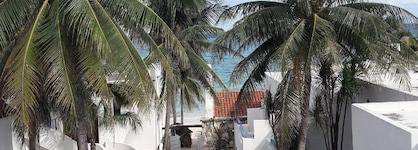 Pelicano Inn Playa Del Carmen - Beachfront Hotel