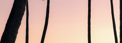 Sheraton Grand Mirage Resort, Gold Coast