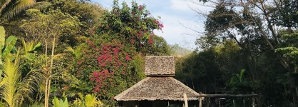 Fern Resort