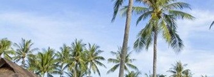 Elixir Koh Yao Yai
