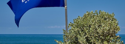 Coral Beach Hotel And Resort Beirut