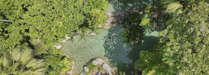 Silky Oaks Lodge