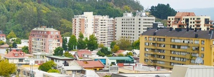 Terrano