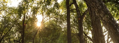 A'zambezi River Lodge