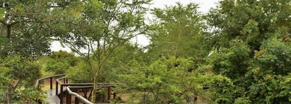 Shishangeni Lodge, Kruger National Park