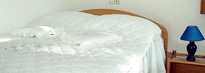 Apartman Marina I