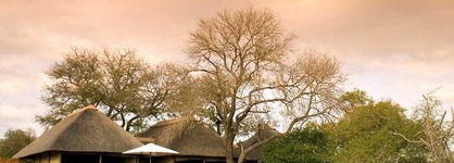 Camp Shonga