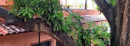 Hotel Doña Elvira