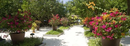 Embudu Village