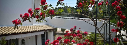Katia Beach Hotel