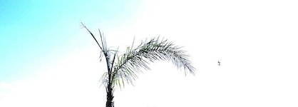 Hotel Campestre Inn