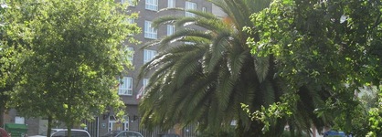 Norte