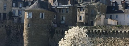 Quality Hôtel La Marebaudiere