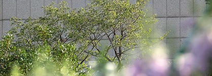 Ln Garden Hotel Guangzhou