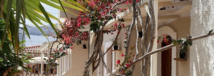 Mila Malia Studios Hotel