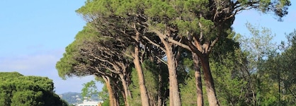 Pullman Cannes Mandelieu