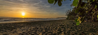 Cariblue Beach And Jungle Resort