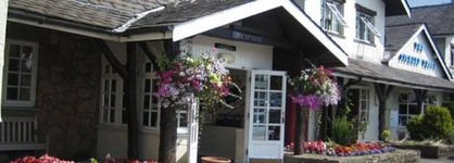 Macdonald Tickled Trout Hotel