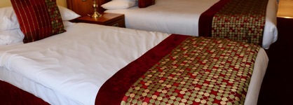 The Rose Hotel