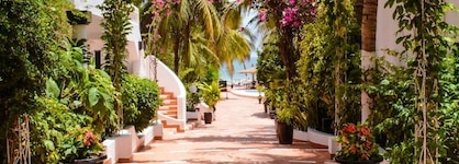 Hotel Africa Queen