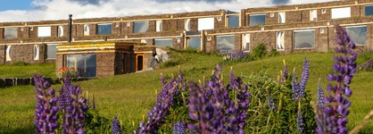 Altiplanico Puerto Natales