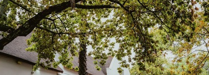 The Stellenbosch Hotel