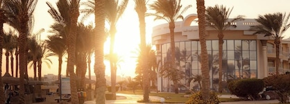 Palm Royale Resort – Soma Bay