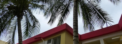 Hotel Flamboyants