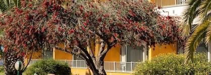 Vila Park Nature & Business Hotel