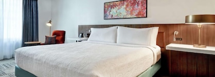 Hilton Garden Inn Houston Galleria