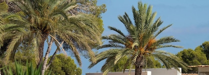 Hotel Montepiedra