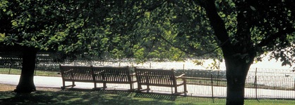 Doubletree By Hilton St. Louis - Westport