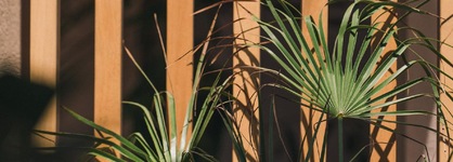 The Nest Resort