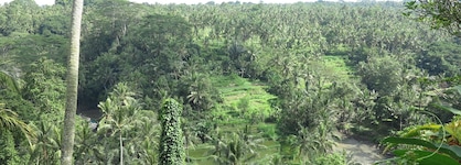 Taman Bebek Resort & Spa