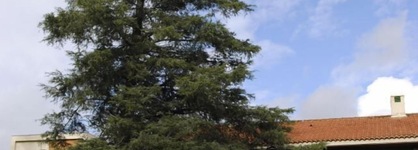 El Salugral Termal Resort